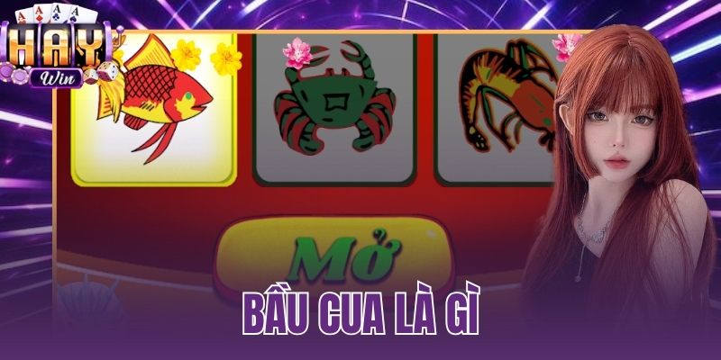 bầu cua là gì