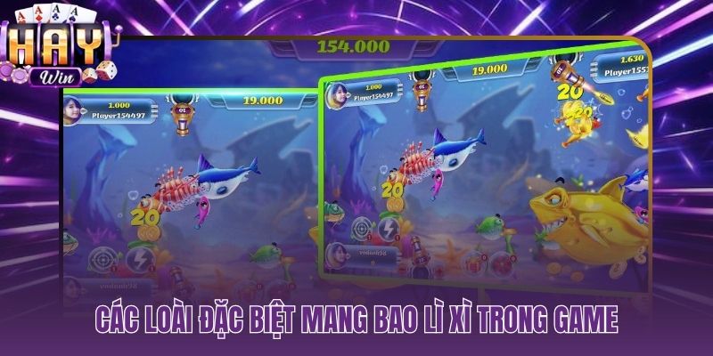 Cá chép vàng đến Boss Thần Tài hệ số nhân và phúc lộc từng loài