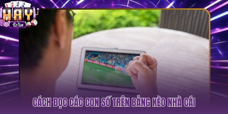 Giải mã từng con số odds trên bảng kèo nhà cái HAYWIN