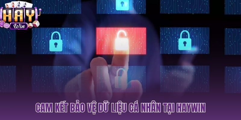 Chính sách bảo mật HAYWIN và phạm vi bảo vệ dữ liệu người chơi từ ngày đầu