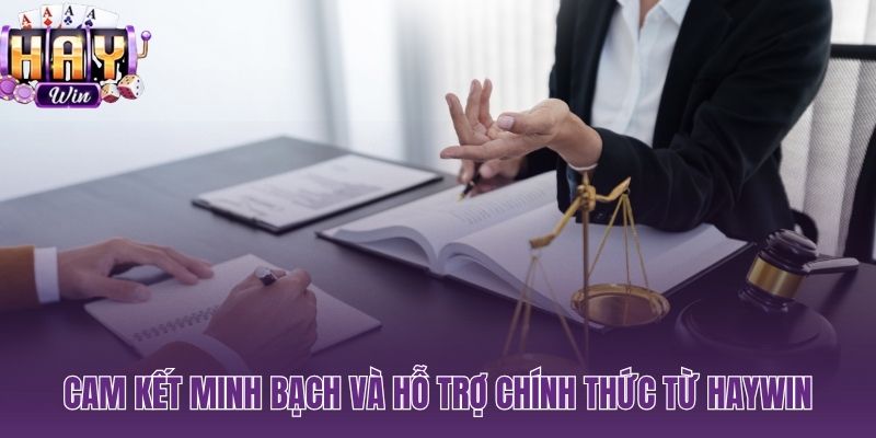Cập nhật điều khoản trước 7 ngày và live chat phản hồi 15 giây