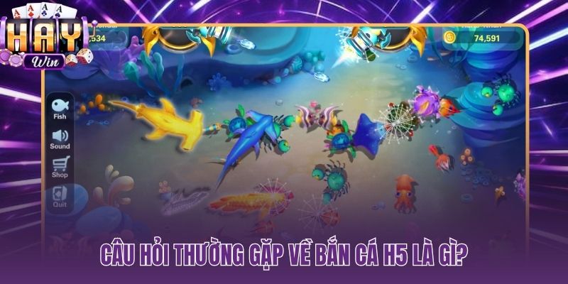 Giải đáp trực tiếp các thắc mắc phổ biến về bắn cá H5