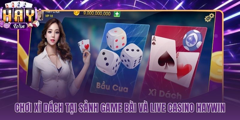 Sảnh game bài RNG và live casino xì dách trực tiếp tại HAYWIN