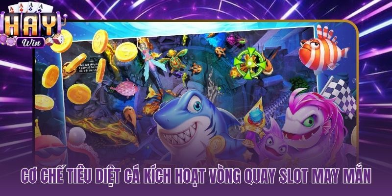 Chuỗi tiêu diệt mục tiêu và vòng quay slot phần thưởng kép