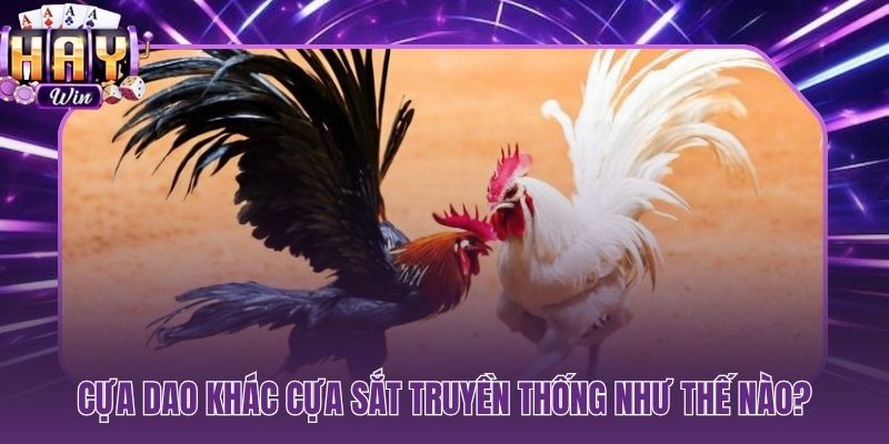 Cựa dao Philippines và cựa sắt truyền thống ba điểm khác biệt