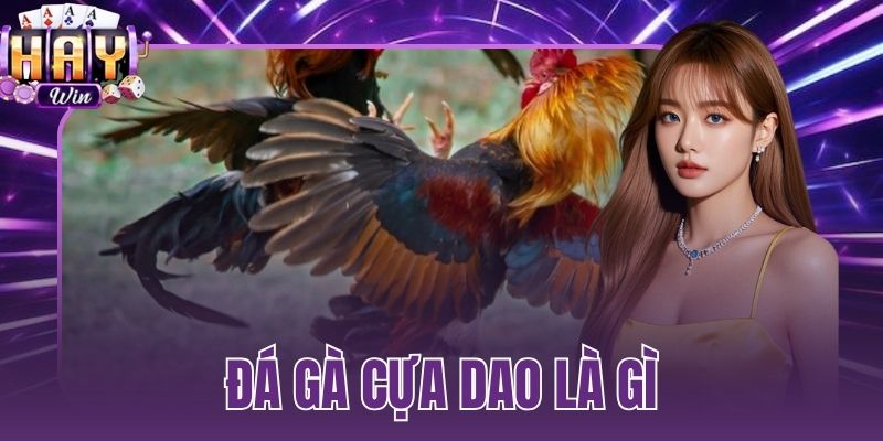 đá gà cựa dao là gì