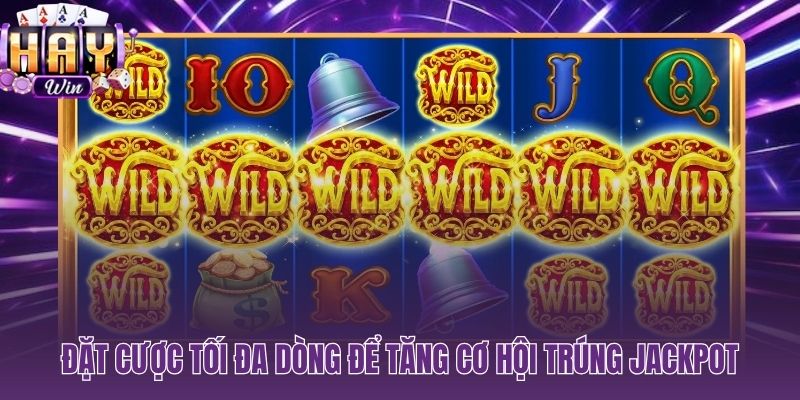 Max paylines và điều kiện kích hoạt Jackpot progressive hay fixed