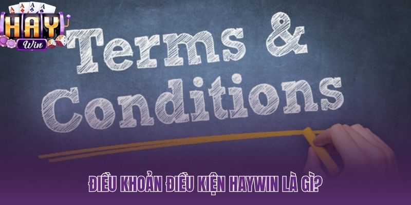 Điều khoản điều kiện HAYWIN và hiệu lực pháp lý