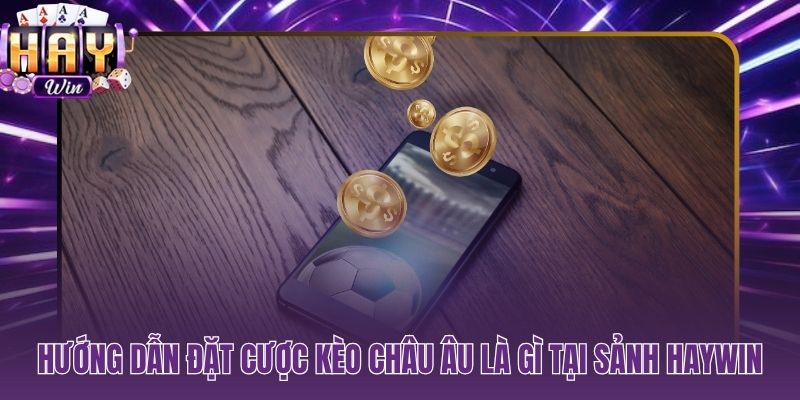 Năm bước đặt kèo 1X2 tại HAYWIN với odds theo thời gian thực