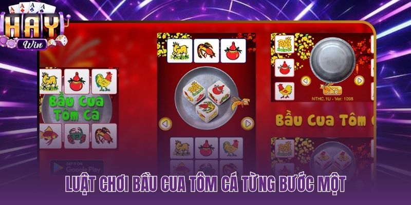 Luật chơi bầu cua đơn giản đọc qua một lần là chơi được