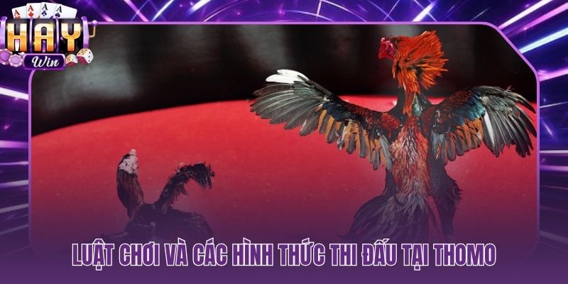 Cấu trúc hiệp đấu và điều kiện thắng thua minh bạch tại Thomo
