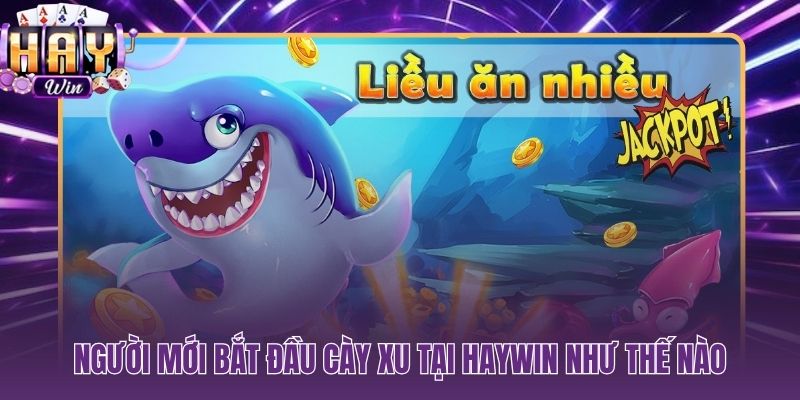 Lộ trình bốn bước đưa người mới vào thực chiến cày xu