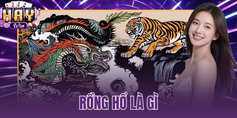 rồng hổ là gì