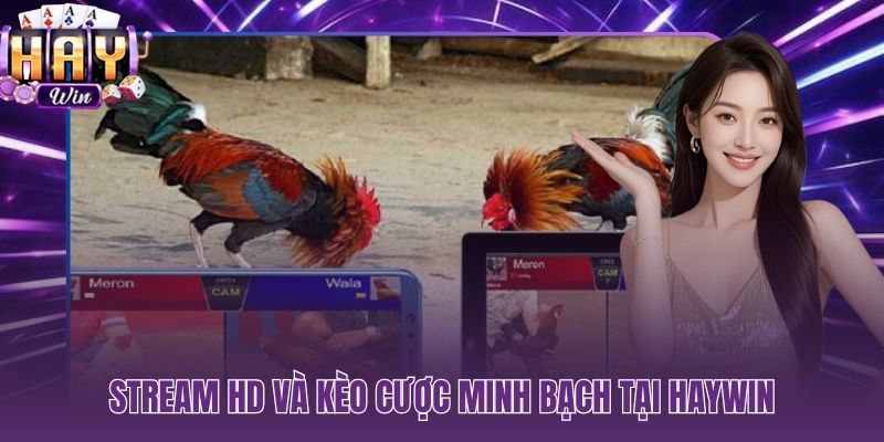 Stream Full HD 0.8 giây và kèo Meron Wala minh bạch tuyệt đối