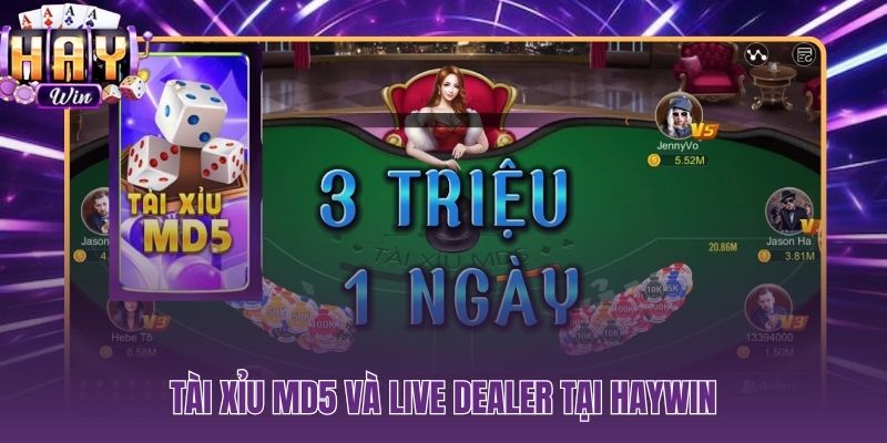Hai phiên bản tài xỉu tại HAYWIN MD5 và Live Dealer đối chiếu trực tiếp