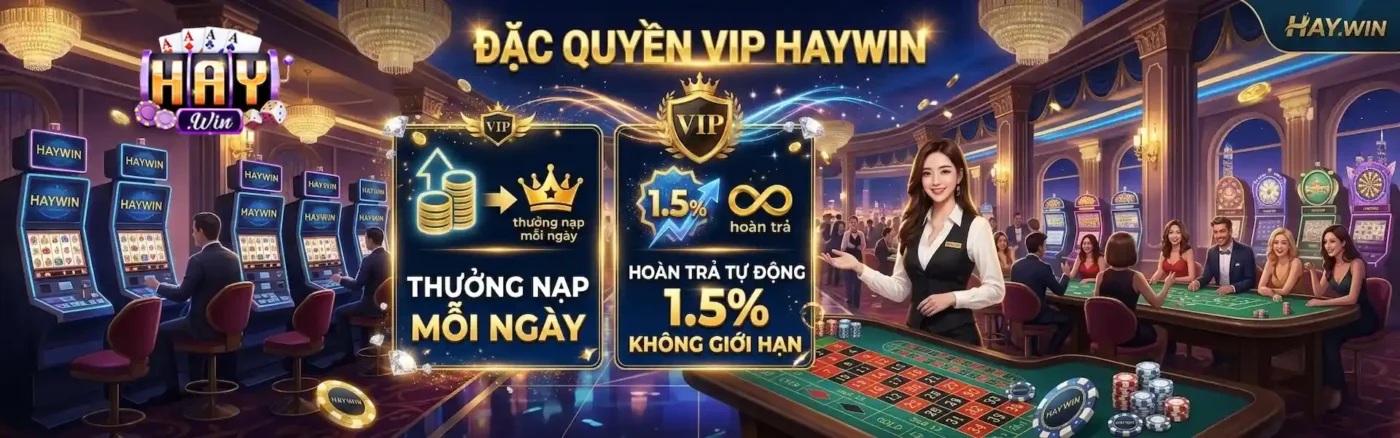 banner top 1 haywin